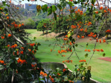 VAGC Campeonato Abierto de Menores 2016