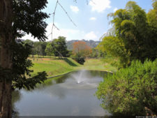 VAGC Campeonato Abierto de Menores 2016