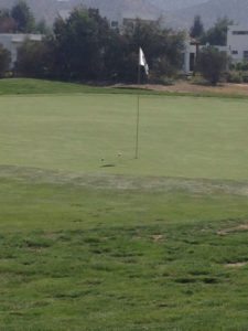 Venezuela defiende su título Sudamericano Juvenil en Chile