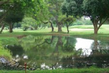 VIII Abierto Sambil de Golf