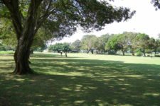 VIII Abierto Sambil de Golf