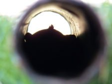 X Abierto Sambil (día 1)