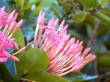 X Abierto Sambil (día 1)