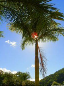 XI Abierto Sambil, ProAm Copa Provincial