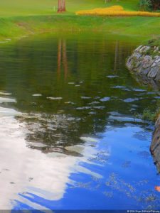 XI Abierto Sambil, ProAm Copa Provincial