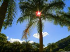 XI Abierto Sambil, ProAm Copa Provincial