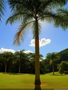 XI Abierto Sambil, ProAm Copa Provincial