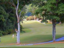 XI Abierto Sambil, ProAm Copa Provincial