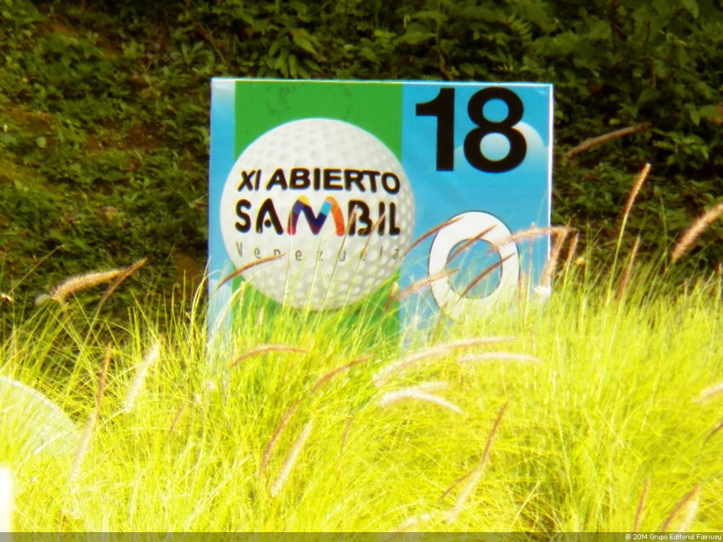 XI Abierto Sambil, ProAm Copa Provincial