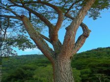 XI Abierto Sambil, ProAm Copa Provincial