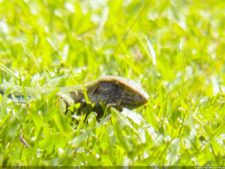 XI Abierto Sambil, jornada inicial clasificatoria