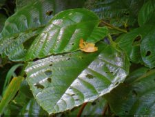 XI Abierto Sambil, tercera ronda