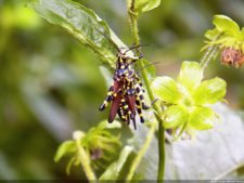 XI Abierto Sambil, tercera ronda