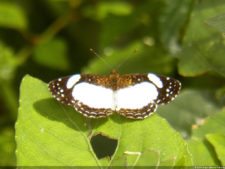 XI Abierto Sambil, tercera ronda