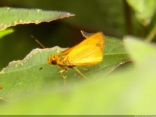 XI Abierto Sambil, tercera ronda