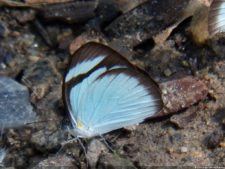 XI Abierto Sambil, tercera ronda