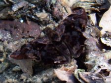 XI Abierto Sambil, tercera ronda