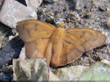 XI Abierto Sambil, tercera ronda