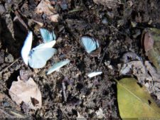 XI Abierto Sambil, tercera ronda