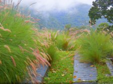 Jornada final del XI Abierto Sambil