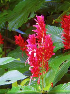 Jornada final del XI Abierto Sambil