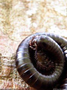 Jornada final del XI Abierto Sambil