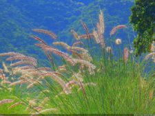 XI Abierto Sambil, primera jornada