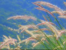 XI Abierto Sambil, primera jornada