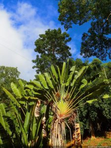 XI Abierto Sambil, primera jornada