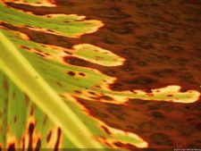 XI Abierto Sambil, primera jornada