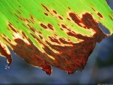 XI Abierto Sambil, primera jornada