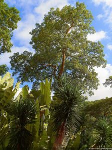 XI Abierto Sambil, primera jornada