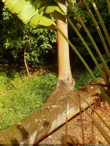 XI Abierto Sambil, primera jornada