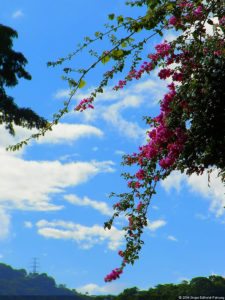 XI Abierto Sambil, primera jornada