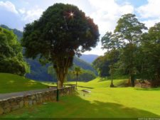 XI Abierto Sambil, primera jornada