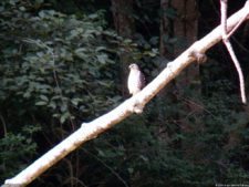 XI Abierto Sambil, primera jornada