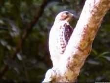 XI Abierto Sambil, primera jornada