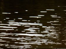 XI Abierto Sambil, primera jornada