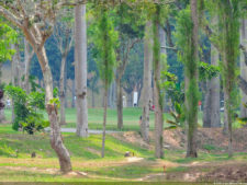 2do día de Juego XLIX Sudamericano Juvenil por Equipos