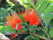 2do día de Juego XLIX Sudamericano Juvenil por Equipos