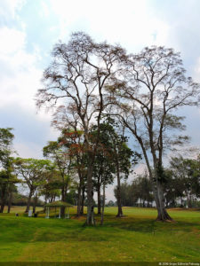 2do día de Juego XLIX Sudamericano Juvenil por Equipos