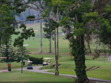 1er día de Juego XLIX Sudamericano Juvenil por Equipos