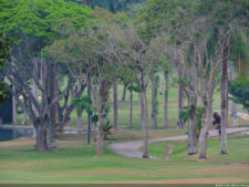 1er día de Juego XLIX Sudamericano Juvenil por Equipos