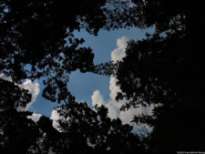 1er día de Juego XLIX Sudamericano Juvenil por Equipos