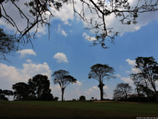 1er día de Juego XLIX Sudamericano Juvenil por Equipos
