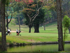 3er día de Juego XLIX Sudamericano Juvenil por Equipos
