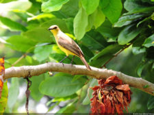 3er día de Juego XLIX Sudamericano Juvenil por Equipos