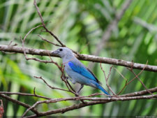 XXXIII Abierto de Venezuela Copa DIRECTV, selección Sábado 16 de Abril