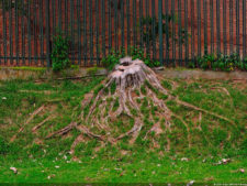 XXXIII Abierto de Venezuela Copa DIRECTV, selección Sábado 16 de Abril