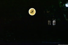 Galería 3ra ronda Tour Championship (2da parte)